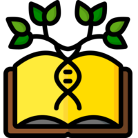 dna dna